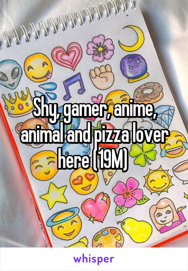 Shy, gamer, anime, animal and pizza lover here (19M) 