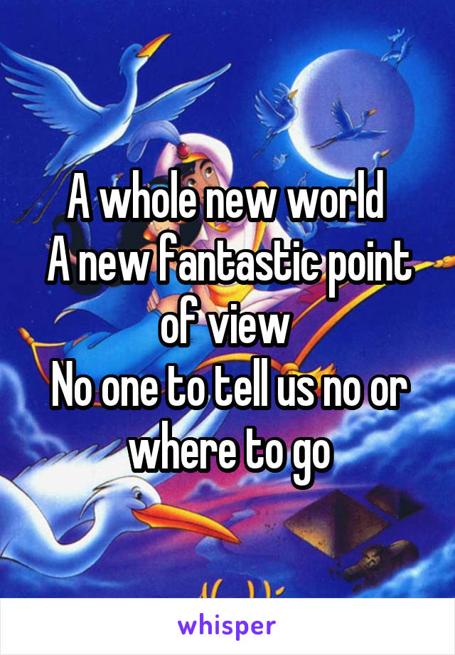 A whole new world 
A new fantastic point of view 
No one to tell us no or where to go