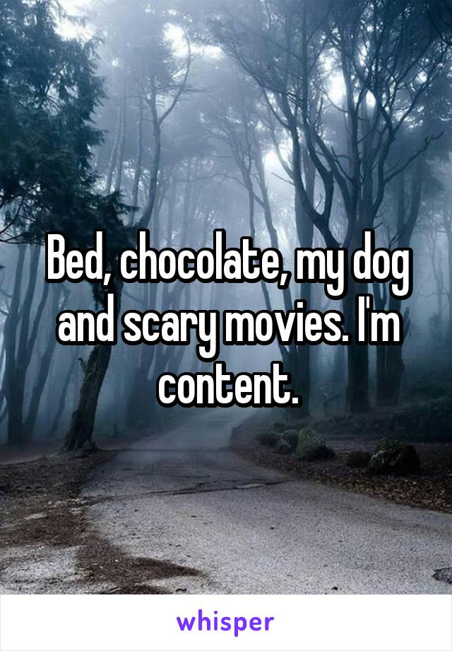 Bed, chocolate, my dog and scary movies. I'm content.