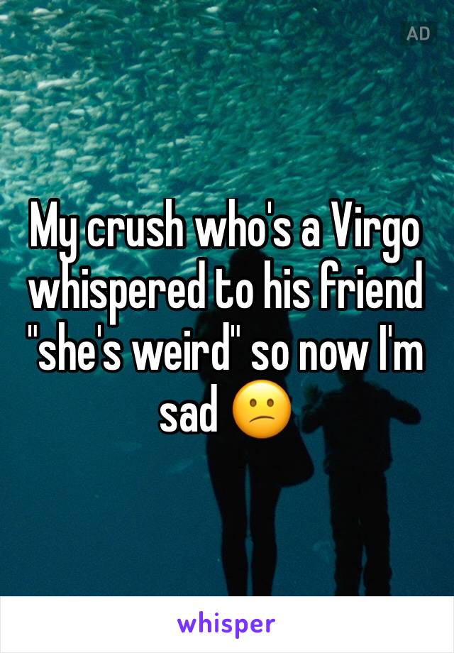 My crush who's a Virgo whispered to his friend "she's weird" so now I'm sad 😕