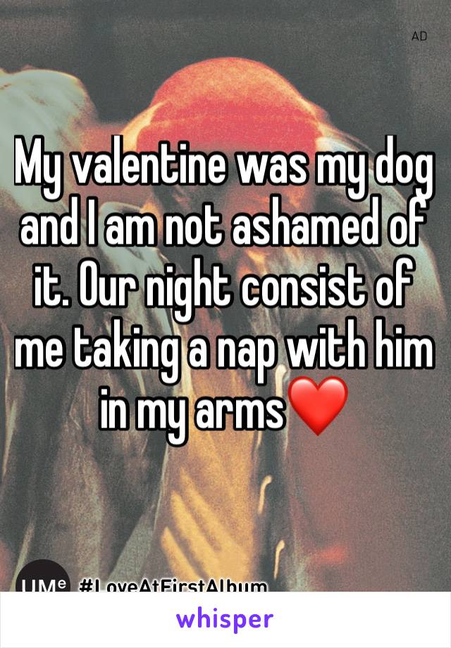 My valentine was my dog and I am not ashamed of it. Our night consist of me taking a nap with him in my arms❤