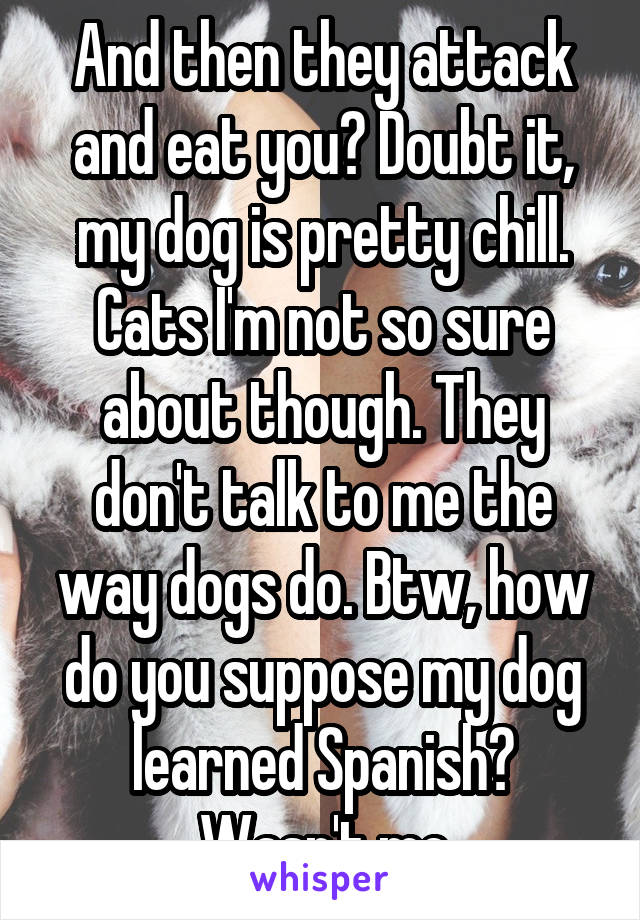 And then they attack and eat you? Doubt it, my dog is pretty chill. Cats I'm not so sure about though. They don't talk to me the way dogs do. Btw, how do you suppose my dog learned Spanish? Wasn't me