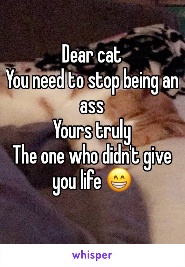 Dear cat 
You need to stop being an ass 
Yours truly 
The one who didn't give you life 😁
