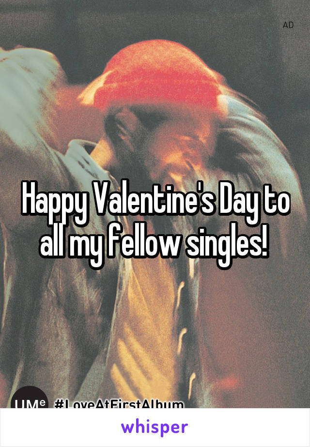 Happy Valentine's Day to all my fellow singles! 