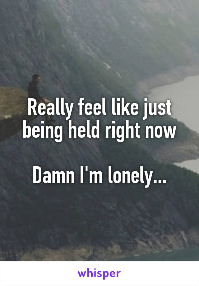 Really feel like just being held right now

Damn I'm lonely...