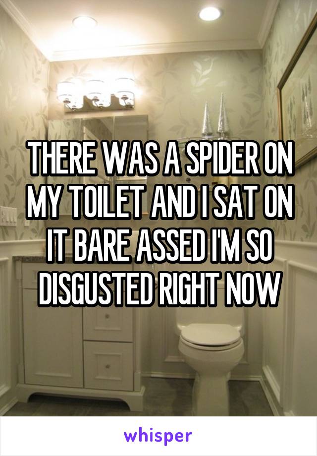 THERE WAS A SPIDER ON MY TOILET AND I SAT ON IT BARE ASSED I'M SO DISGUSTED RIGHT NOW