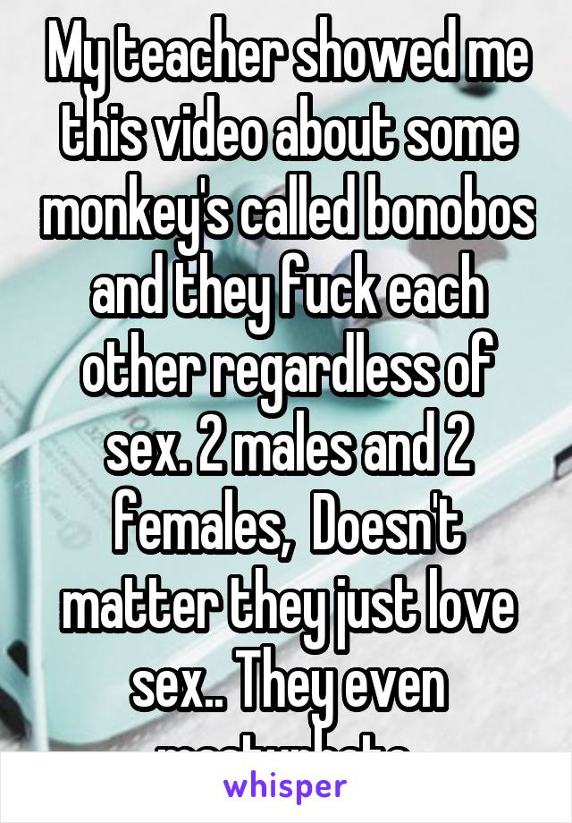 My teacher showed me this video about some monkey's called bonobos and they fuck each other regardless of sex. 2 males and 2 females,  Doesn't matter they just love sex.. They even masturbate.