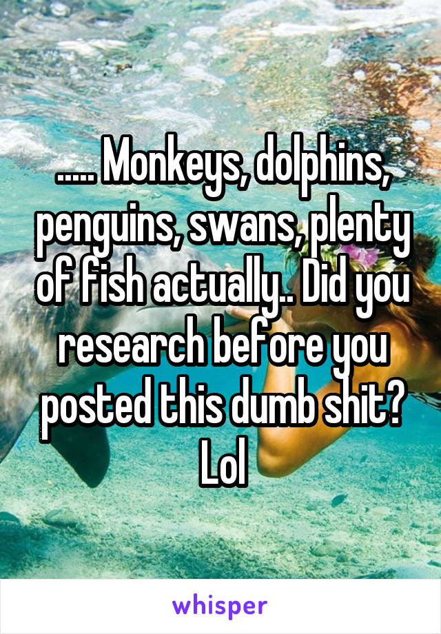 ..... Monkeys, dolphins, penguins, swans, plenty of fish actually.. Did you research before you posted this dumb shit? Lol