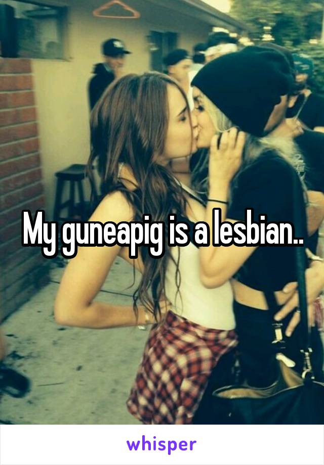 My guneapig is a lesbian..