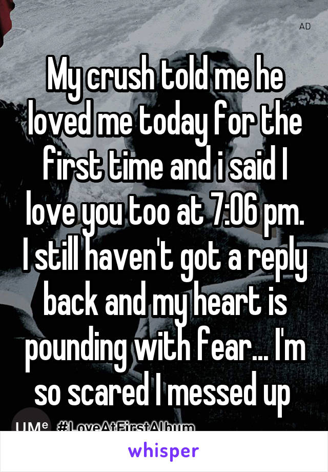 My crush told me he loved me today for the first time and i said I love you too at 7:06 pm. I still haven't got a reply back and my heart is pounding with fear... I'm so scared I messed up 