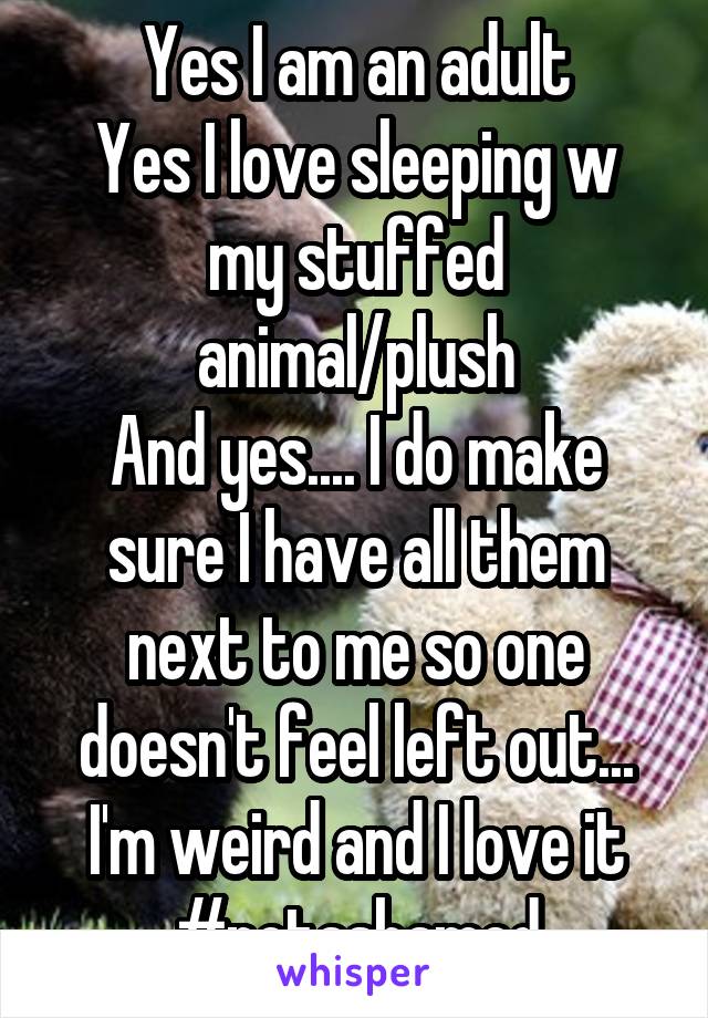 Yes I am an adult
Yes I love sleeping w my stuffed animal/plush
And yes.... I do make sure I have all them next to me so one doesn't feel left out... I'm weird and I love it #notashamed