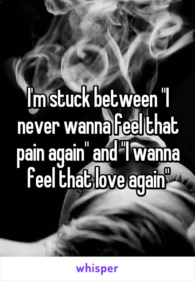 I'm stuck between "I never wanna feel that pain again" and "I wanna feel that love again"