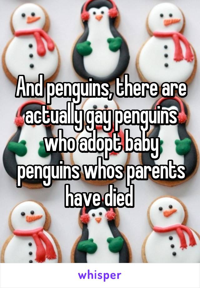 And penguins, there are actually gay penguins who adopt baby penguins whos parents have died 