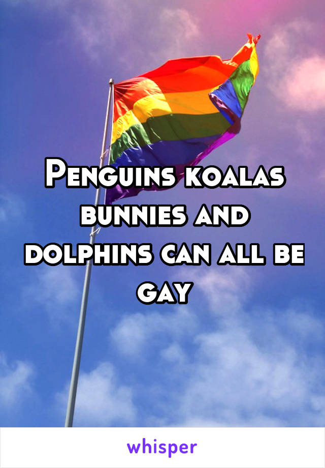 Penguins koalas bunnies and dolphins can all be gay