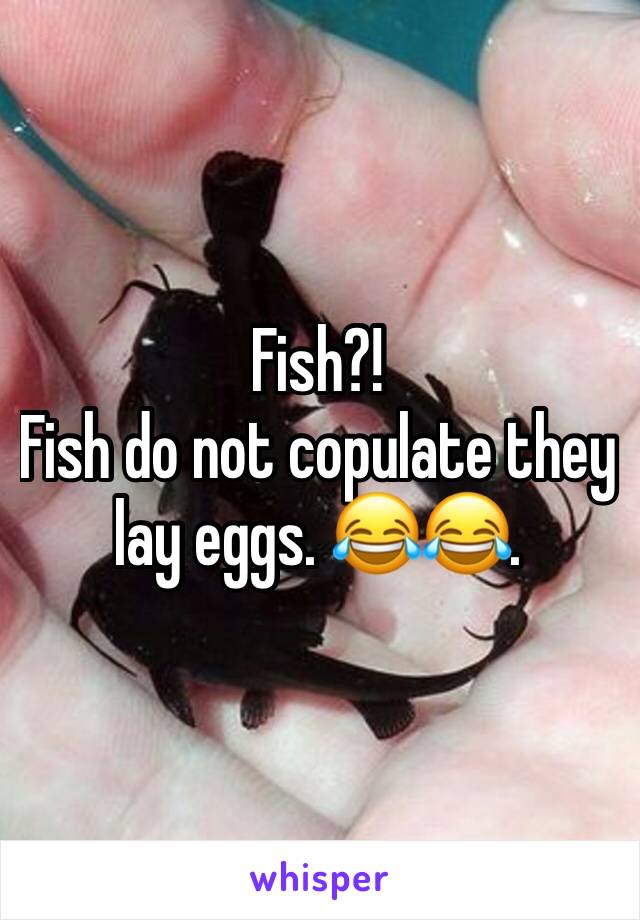 Fish?!
Fish do not copulate they lay eggs. 😂😂.