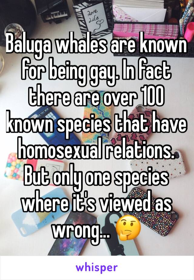 Baluga whales are known for being gay. In fact there are over 100 known species that have homosexual relations. But only one species where it's viewed as wrong... 🤔