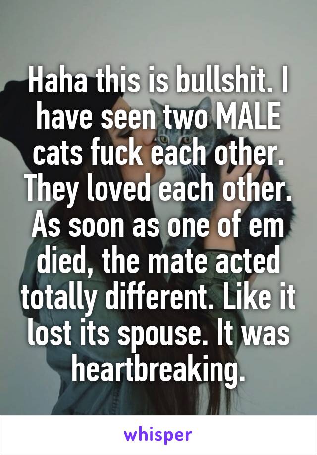 Haha this is bullshit. I have seen two MALE cats fuck each other. They loved each other. As soon as one of em died, the mate acted totally different. Like it lost its spouse. It was heartbreaking.