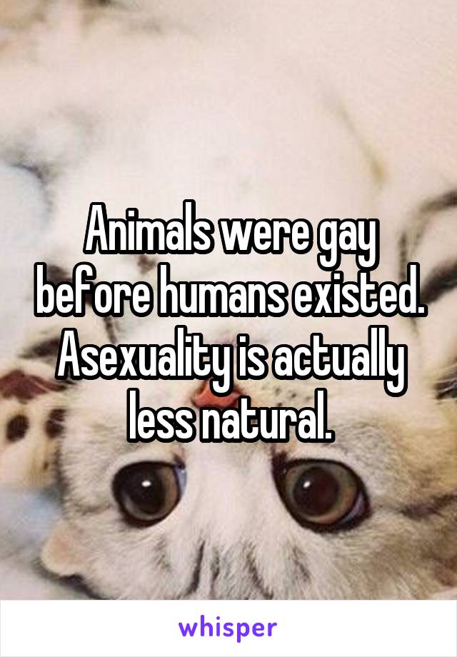 Animals were gay before humans existed. Asexuality is actually less natural.