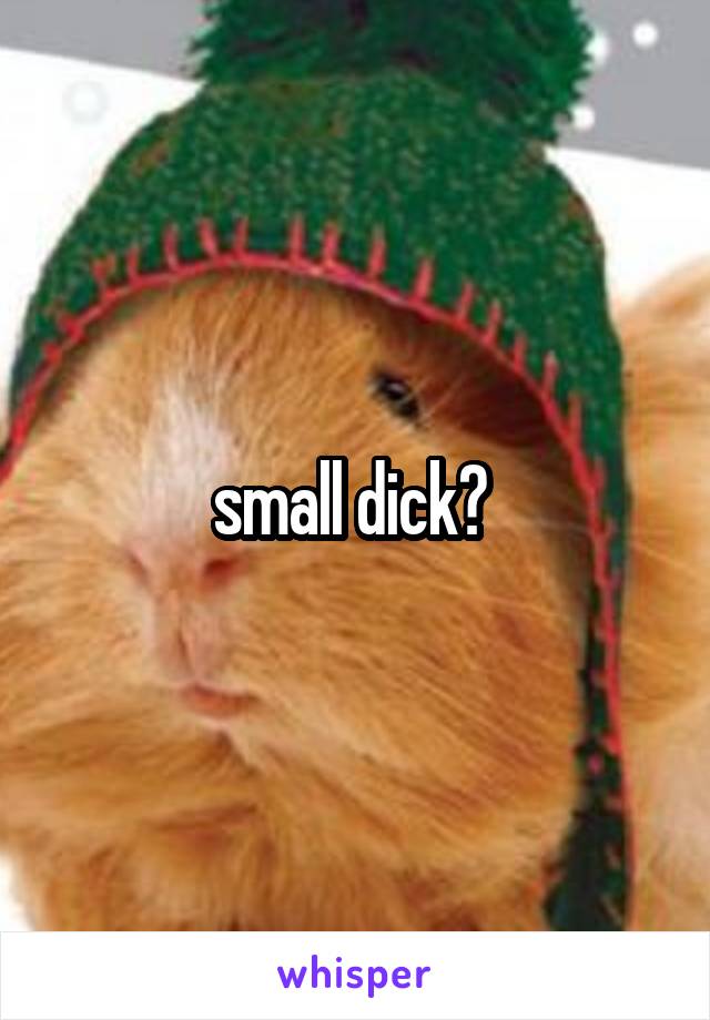 small dick? 