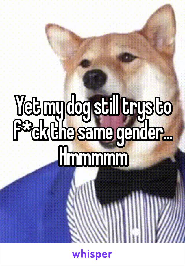 Yet my dog still trys to f*ck the same gender... Hmmmmm