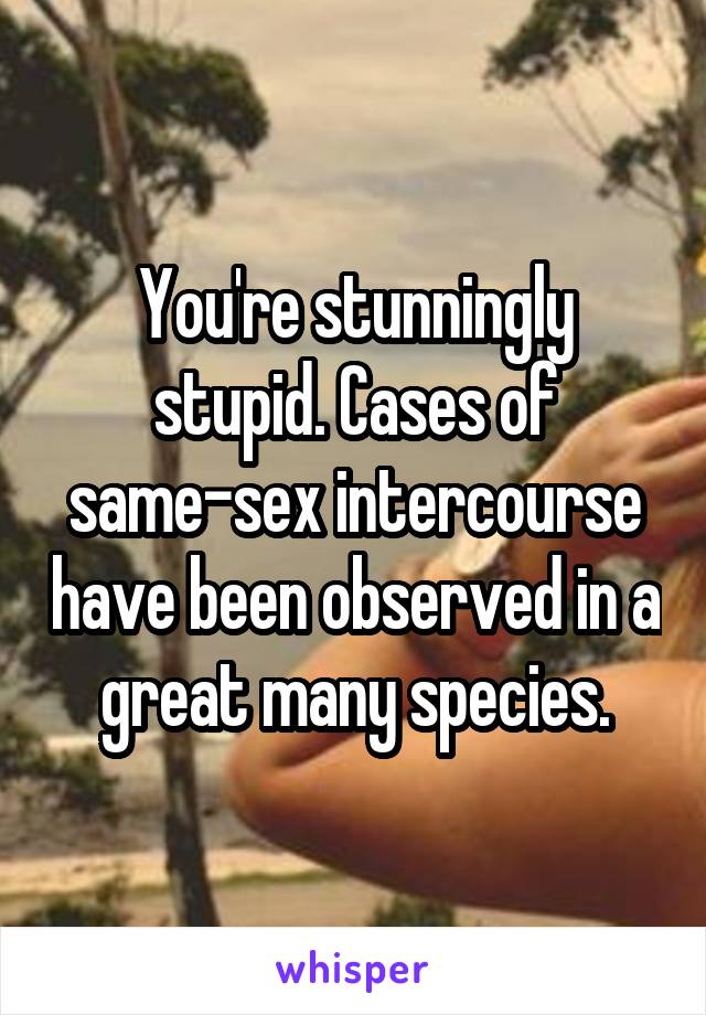 You're stunningly stupid. Cases of same-sex intercourse have been observed in a great many species.