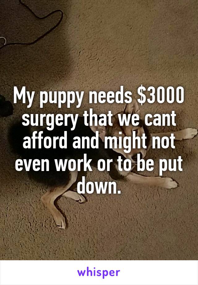 My puppy needs $3000 surgery that we cant afford and might not even work or to be put down.