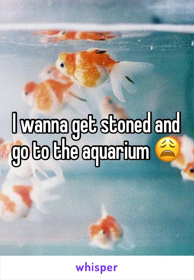 I wanna get stoned and go to the aquarium 😩