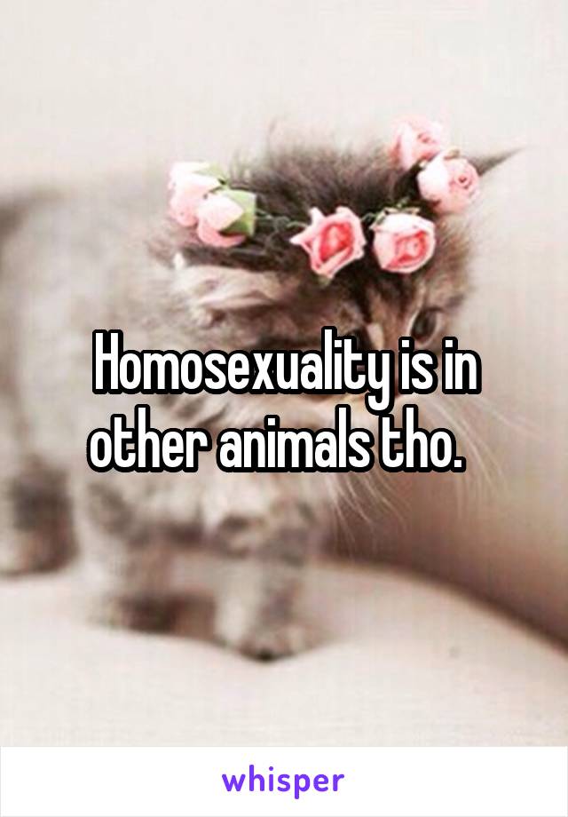 Homosexuality is in other animals tho.  