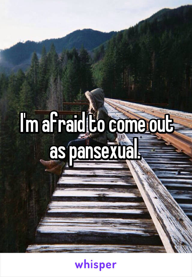 I'm afraid to come out as pansexual. 