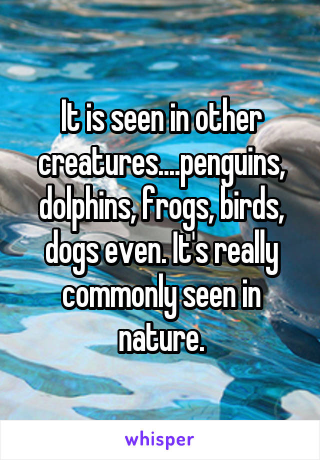 It is seen in other creatures....penguins, dolphins, frogs, birds, dogs even. It's really commonly seen in nature.