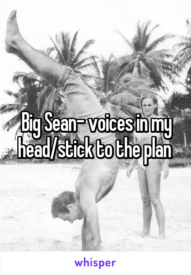 Big Sean- voices in my head/stick to the plan 