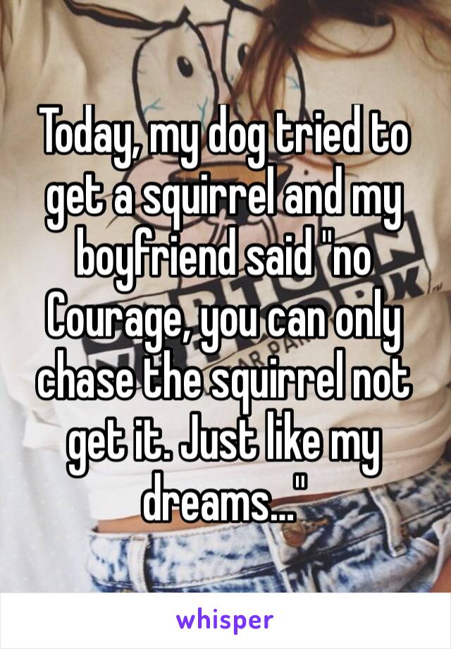 Today, my dog tried to get a squirrel and my boyfriend said "no Courage, you can only chase the squirrel not get it. Just like my dreams…"