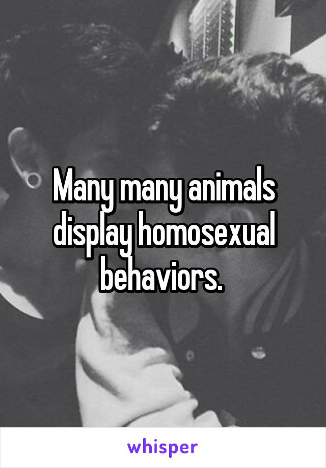 Many many animals display homosexual behaviors. 