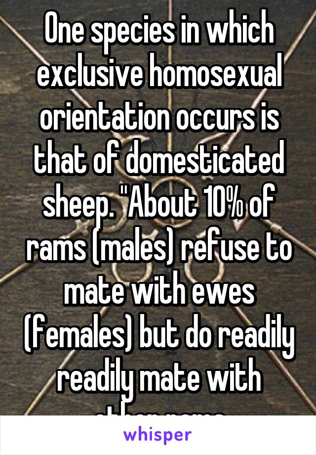 One species in which exclusive homosexual orientation occurs is that of domesticated sheep. "About 10% of rams (males) refuse to mate with ewes (females) but do readily readily mate with other rams