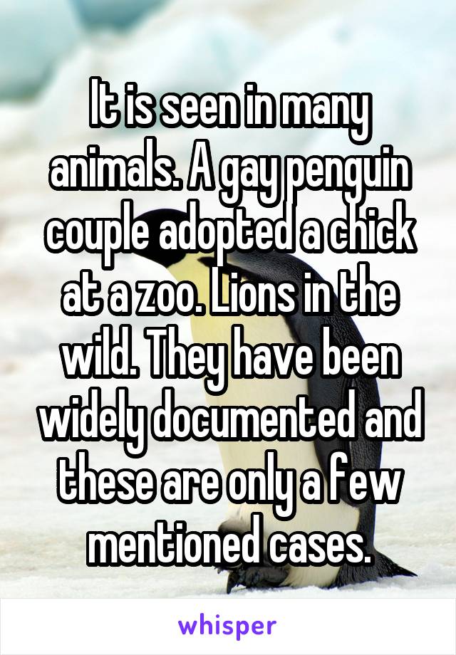 It is seen in many animals. A gay penguin couple adopted a chick at a zoo. Lions in the wild. They have been widely documented and these are only a few mentioned cases.