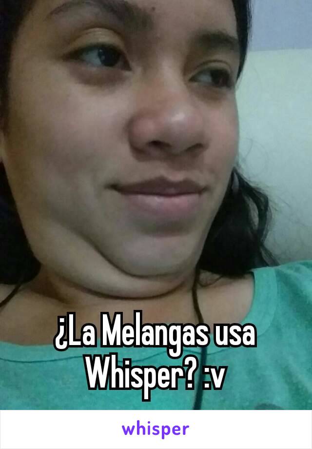 ¿La Melangas usa Whisper? :v