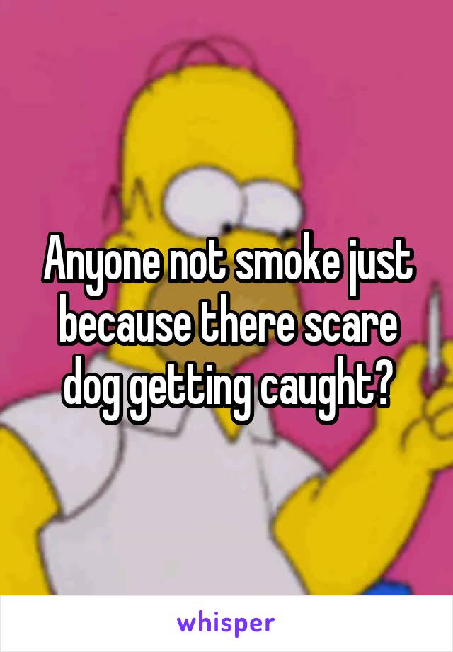 Anyone not smoke just because there scare dog getting caught?