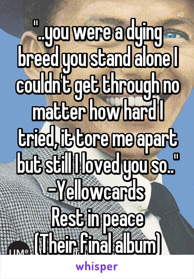 "..you were a dying breed you stand alone I couldn't get through no matter how hard I tried, it tore me apart but still I loved you so.."
-Yellowcards 
Rest in peace
(Their final album)