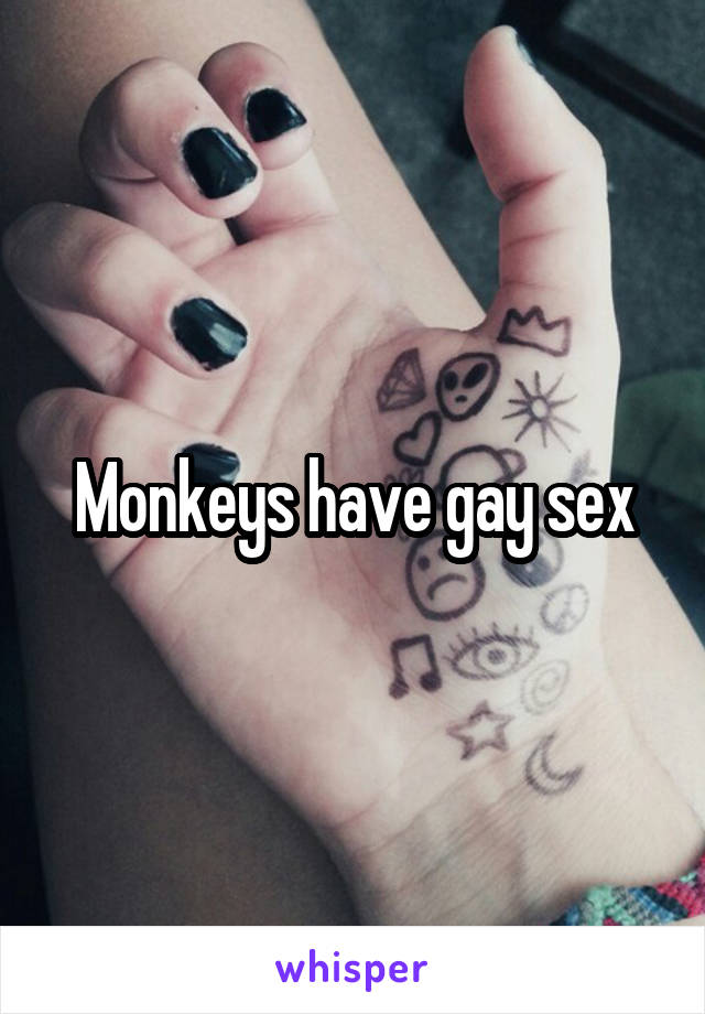 Monkeys have gay sex