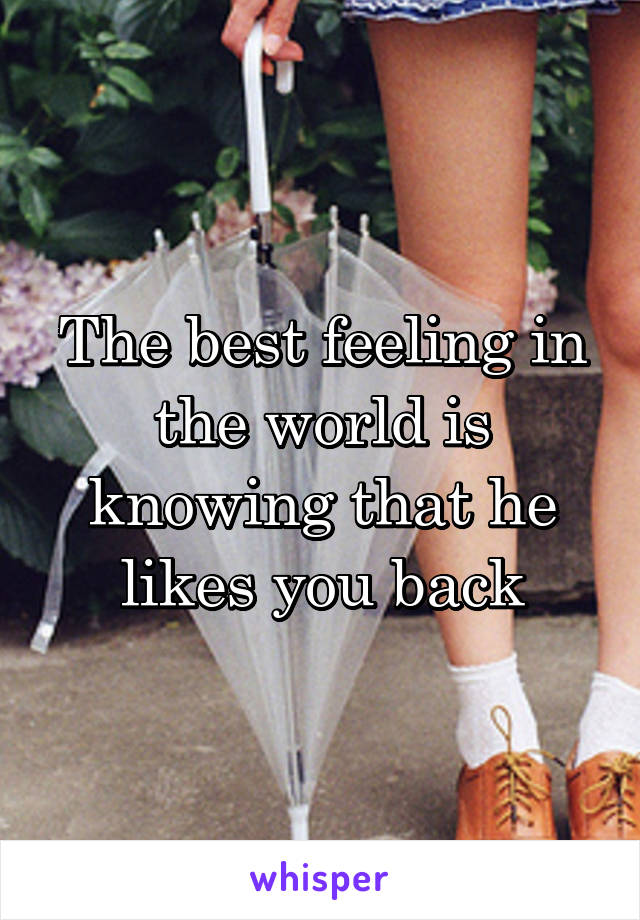 The best feeling in the world is knowing that he likes you back