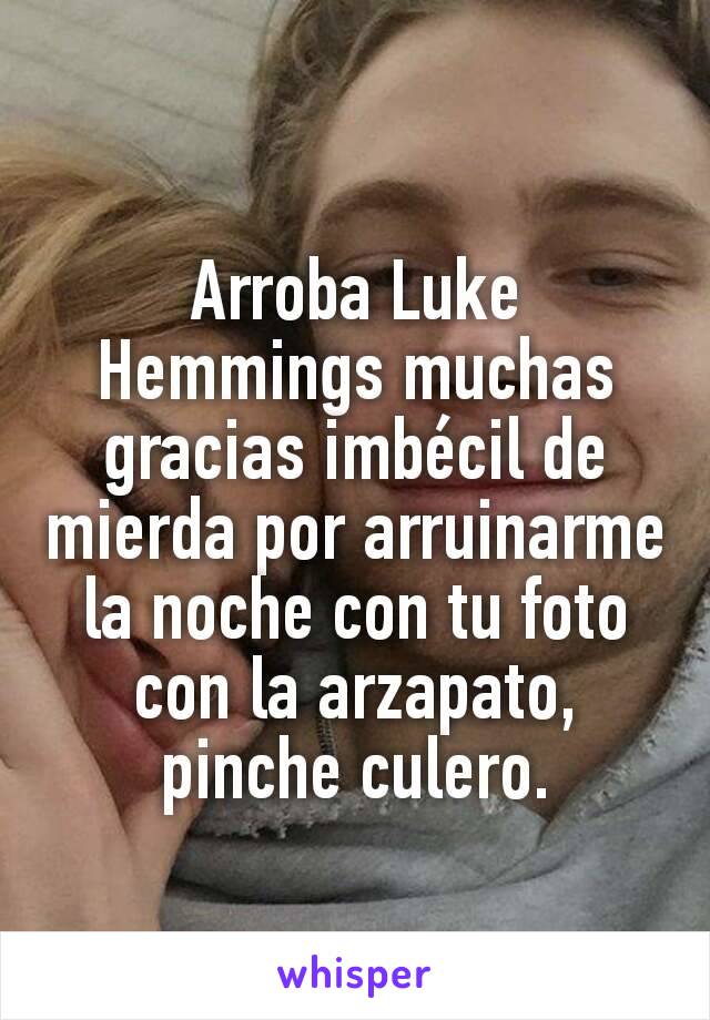 Arroba Luke Hemmings muchas gracias imbécil de mierda por arruinarme la noche con tu foto con la arzapato, pinche culero.