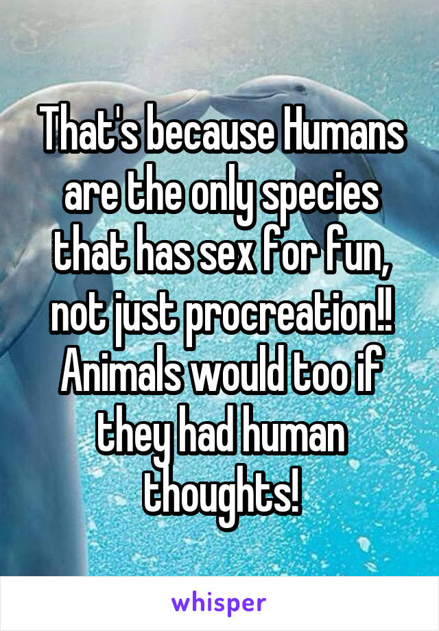 That's because Humans are the only species that has sex for fun, not just procreation!! Animals would too if they had human thoughts!