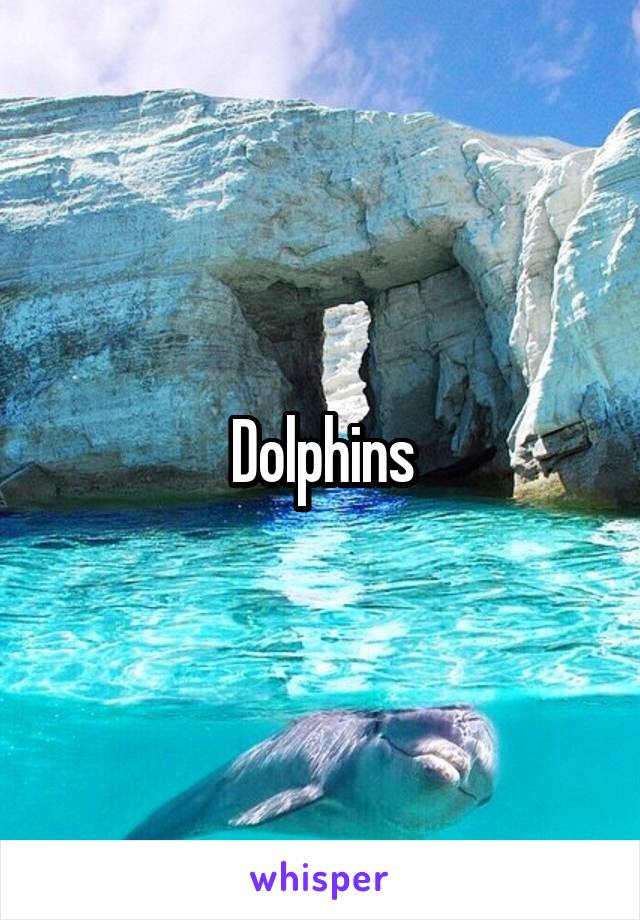 Dolphins