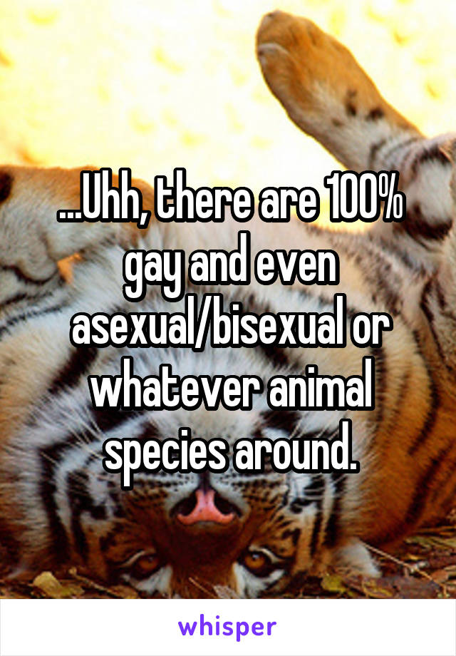 ...Uhh, there are 100% gay and even asexual/bisexual or whatever animal species around.