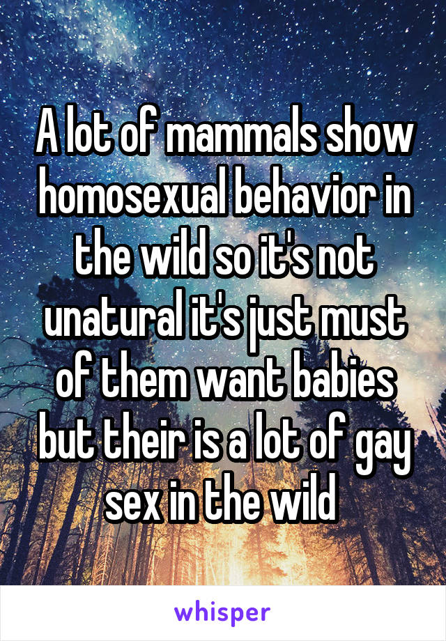 A lot of mammals show homosexual behavior in the wild so it's not unatural it's just must of them want babies but their is a lot of gay sex in the wild 