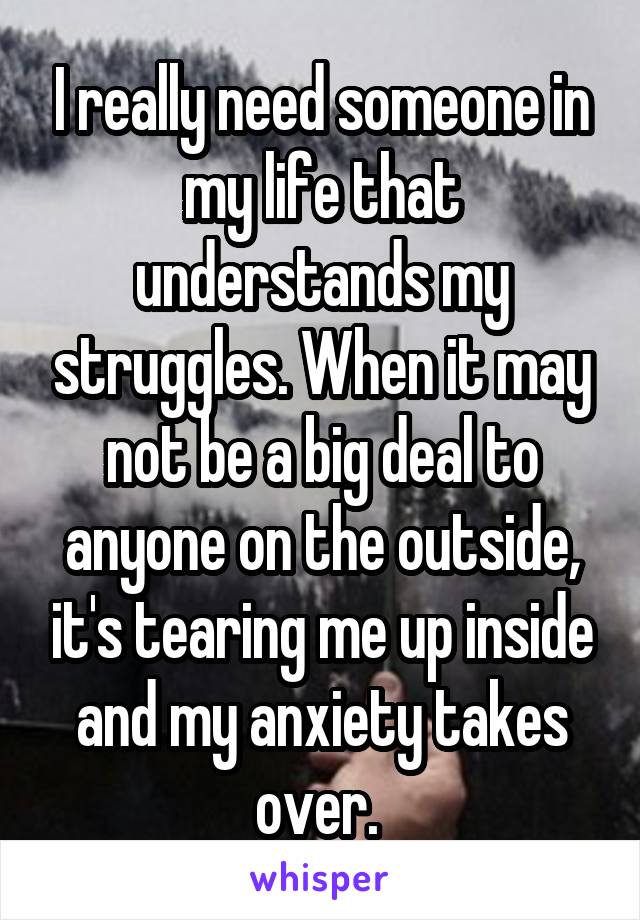 I really need someone in my life that understands my struggles. When it may not be a big deal to anyone on the outside, it's tearing me up inside and my anxiety takes over. 