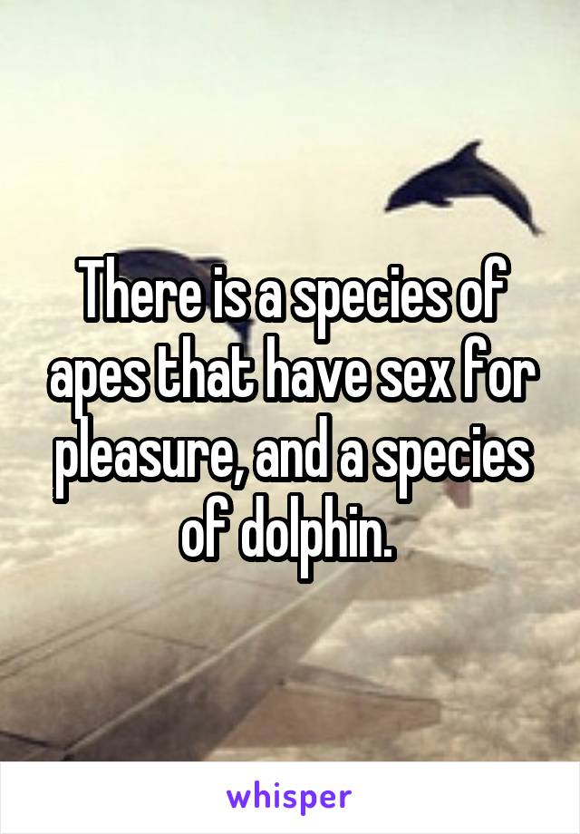 There is a species of apes that have sex for pleasure, and a species of dolphin. 