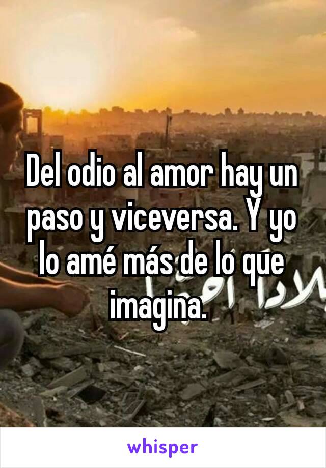 Del odio al amor hay un paso y viceversa. Y yo lo amé más de lo que imagina. 