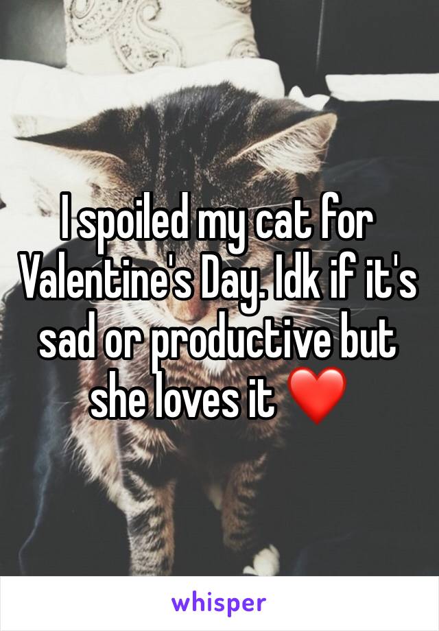 I spoiled my cat for Valentine's Day. Idk if it's sad or productive but she loves it ❤