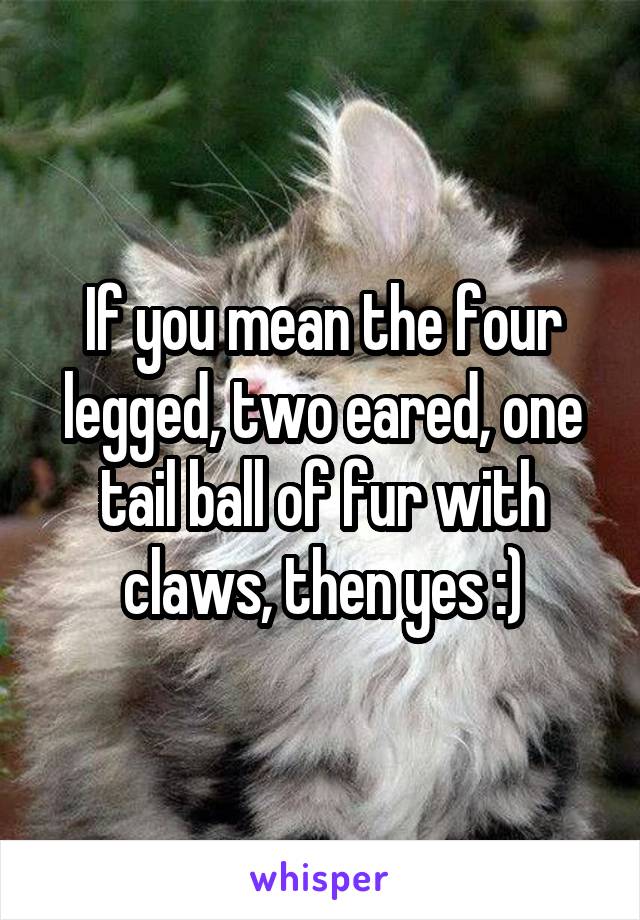 If you mean the four legged, two eared, one tail ball of fur with claws, then yes :)